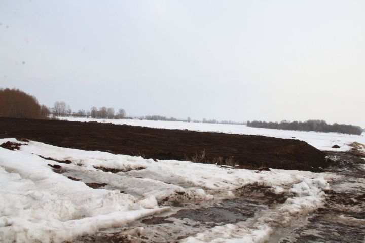 В этом году елабужане будут отдыхать на новом пляже