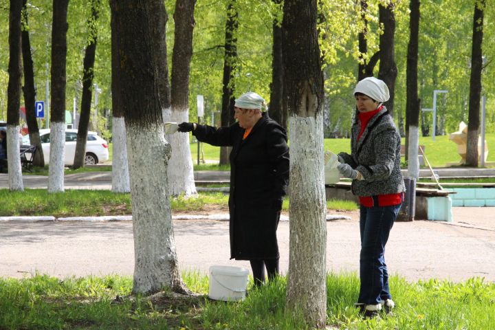 За две недели в средниках и субботниках приняли участие более 1800 елабужан