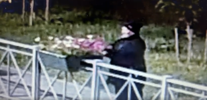 Установлена личность женщины, воровашей цветы с вазонов в Елабуге