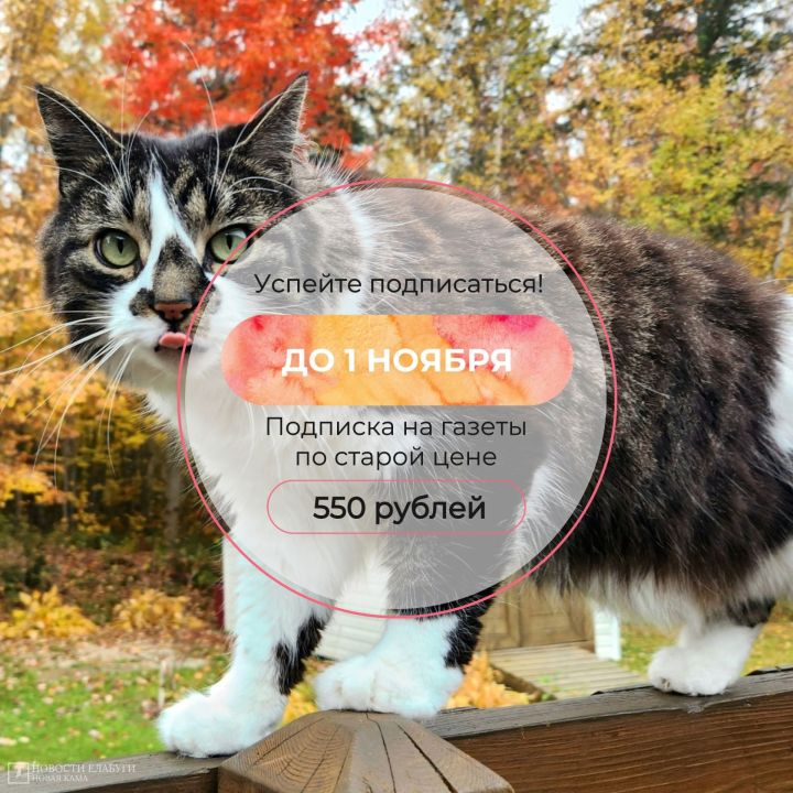 Выпиши  «Новую Каму» по старой цене