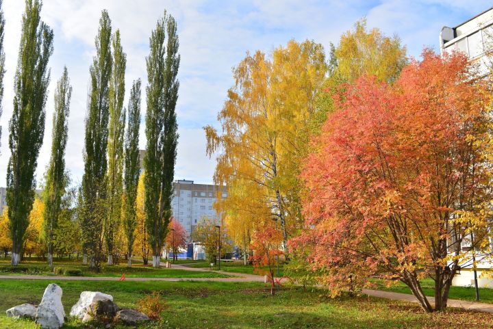 Народные приметы на 29 октября 2025: что можно и нельзя делать в этот день
