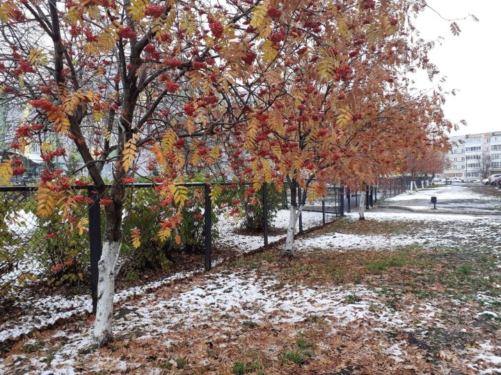 В Татарстане начало ноября будет дождливым и теплым