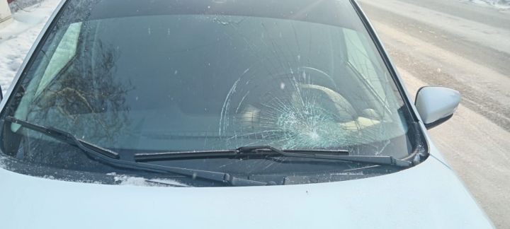 В Елабуге ребенок попал под колеса автомобиля