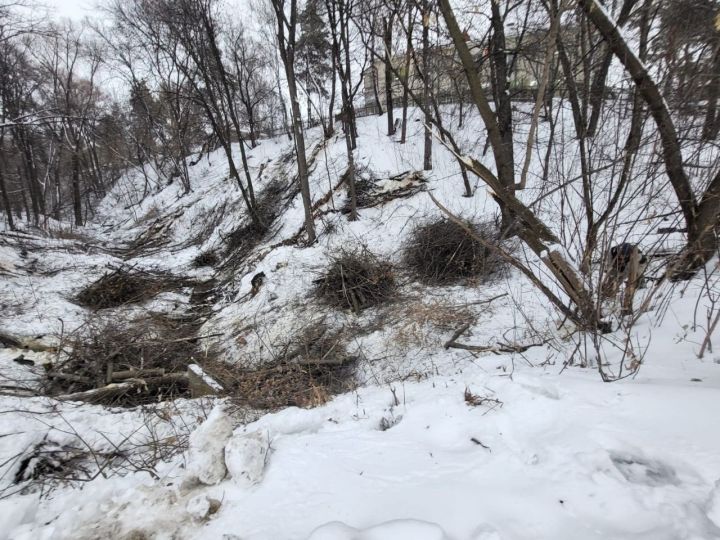 Александровский парк Елабуги преобразится к лету