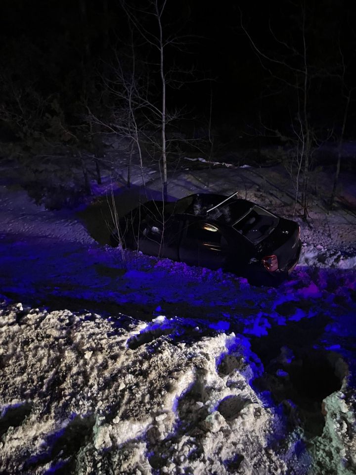 В Елабуге водитель сбил лося и съехал в кювет