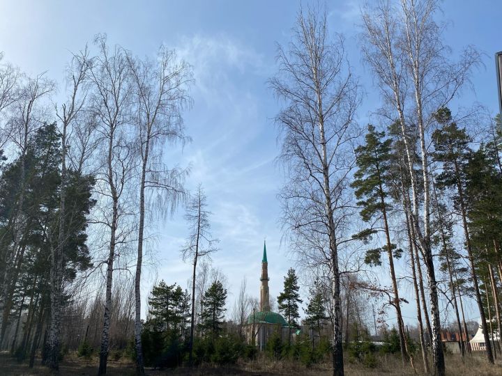 В Татарстане в четверг ожидается до 10 градусов тепла