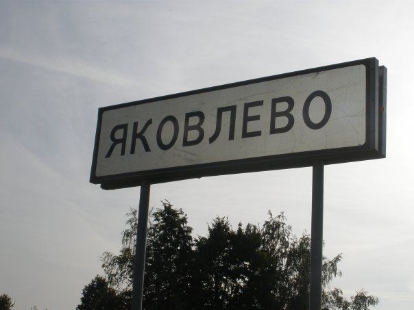 Шокирующая находка в Елабужском районе: в поле обнаружен обглоданный животными труп