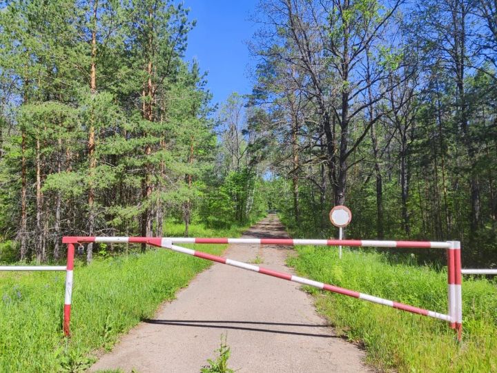 Гидрометцентр объявил в Татарстане штормовое предупреждение