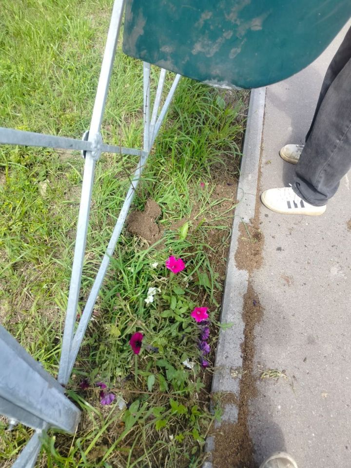 В Елабуге женщина устроила погром на городской клумбе