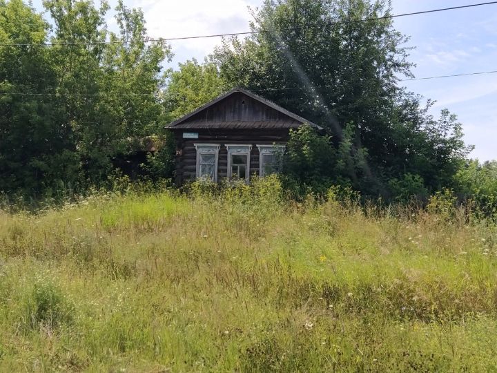 Заработали новые правила изъятия бесхозных дачных участков