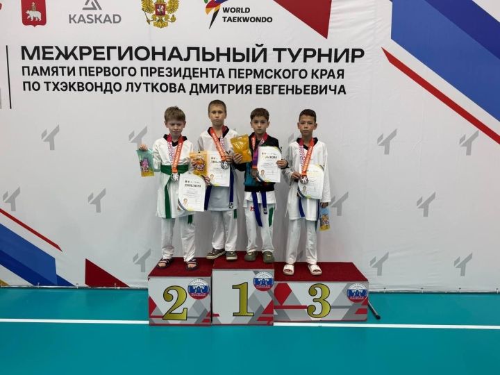 Юные елабужские тхэквондисты взяли шесть медалей на турнире в Перми