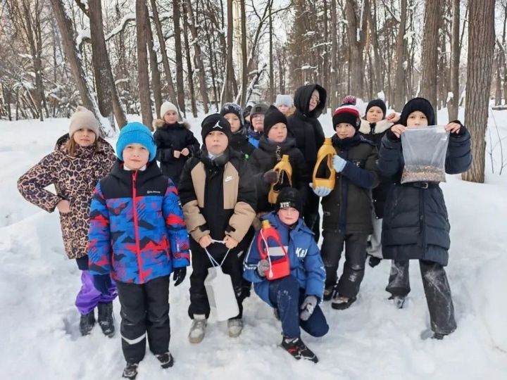 Птицы зимой в Елабуге: как в городе помогают пернатым и чем их правильно кормить