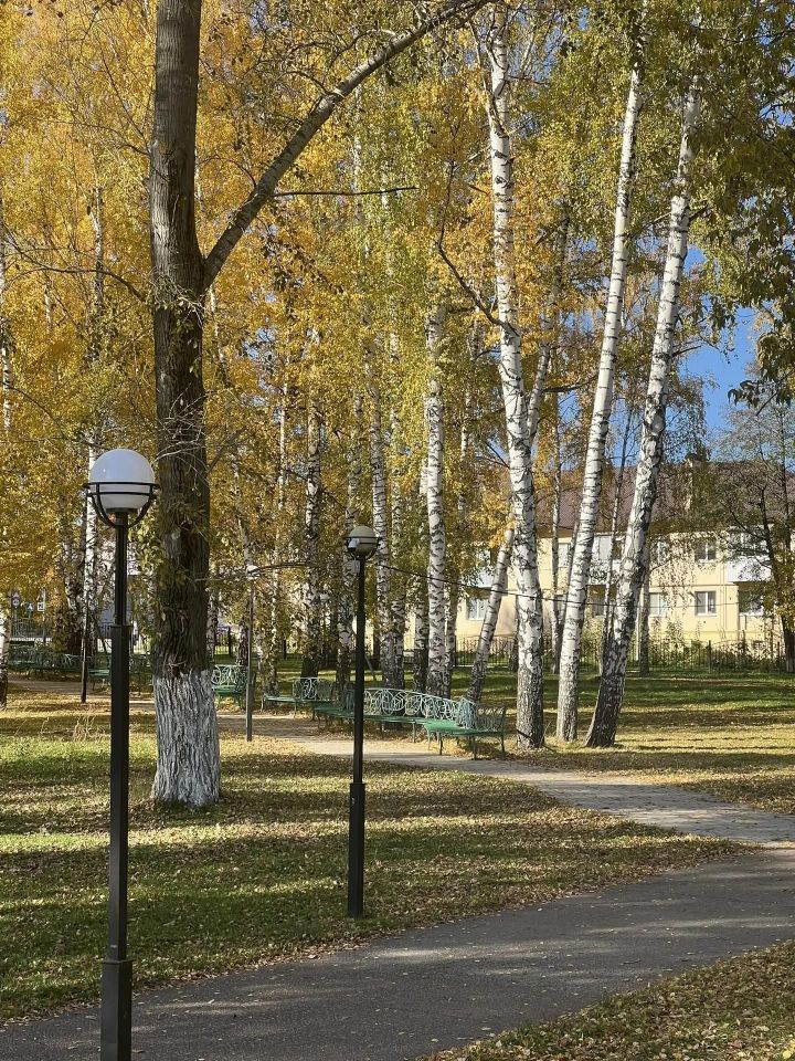 Синоптики рассказали, сколько продержится необычное тепло в Татарстане