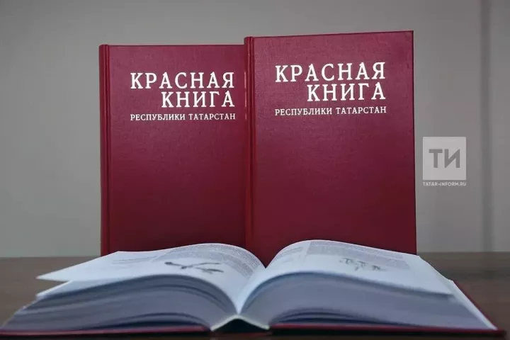 Беренче тапкыр ике телдә: Татарстанда Кызыл китапның яңартылган басмасы чыкты