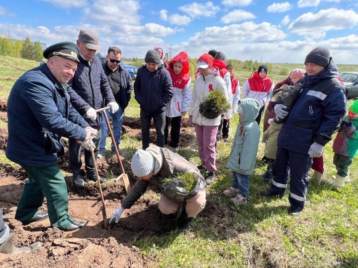 Татарстанда «Хәтер бакчасы» халыкара акциясенә әзерлек бара