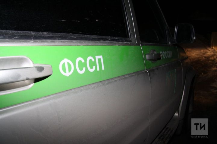 В Агрызе должница по алиментам пряталась от приставов в погребе