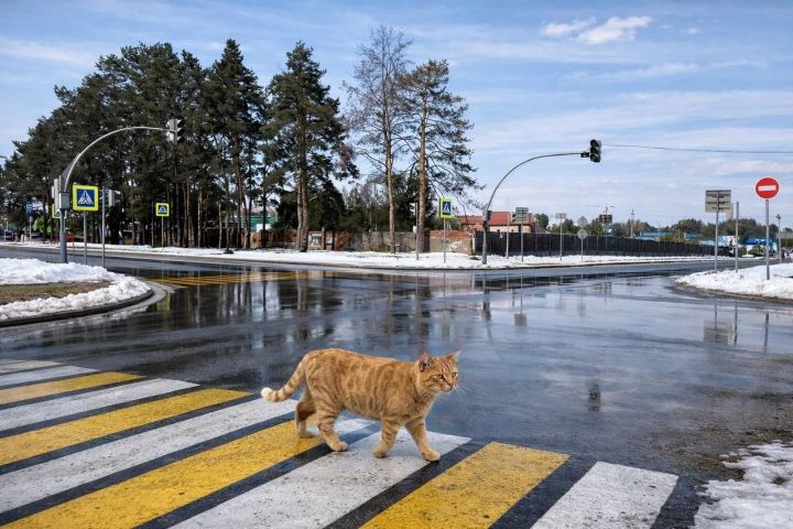 В Татарстане 25 марта ожидаются мокрый снег, гололед и туман