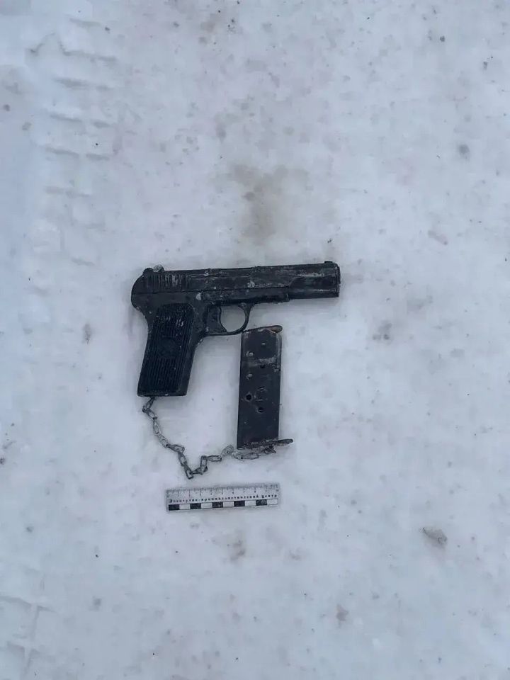 В Елабужском районе у нижекамца изъяли пистолет ТТ, патроны и предмет, похожий на гранату
