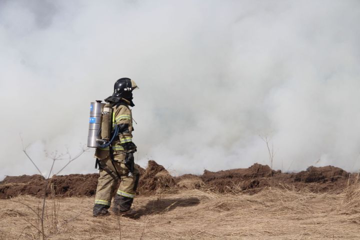 Пожароопасный сезон в лесах Татарстана начнется 15 апреля