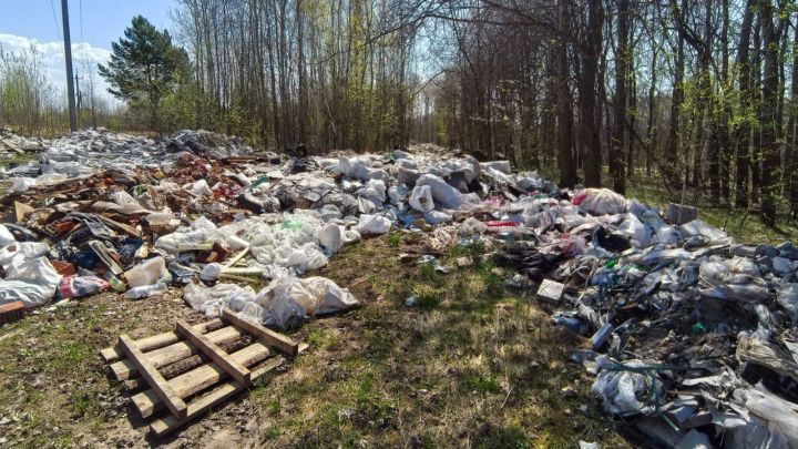 В Елабуге выявили свалку площадью 4 тысячи квадратных метров