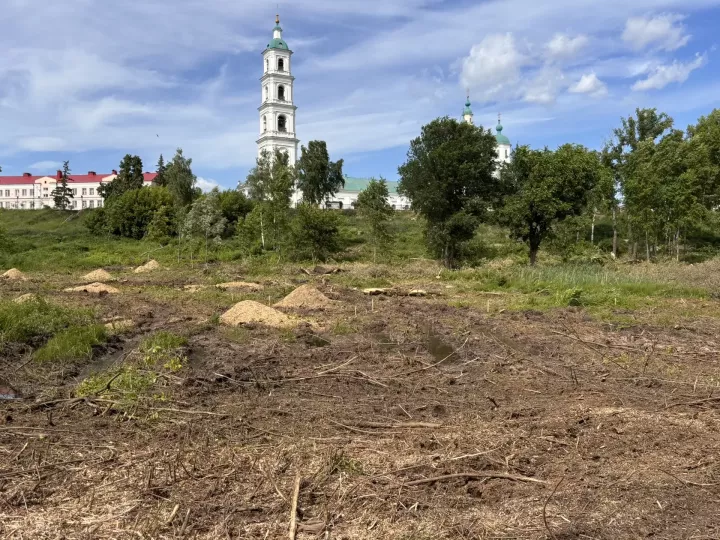 «Шишкин киңлекләре»: Алабугада тугайлы парк булдырыла