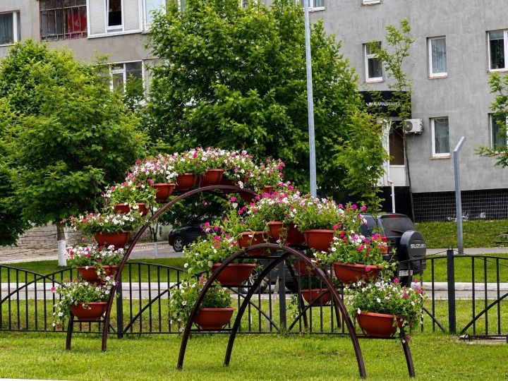 Бу җәйдә Алабугада һәм авыл җирлекләрендә 36 меңгә якын чәчәк утыртылачак