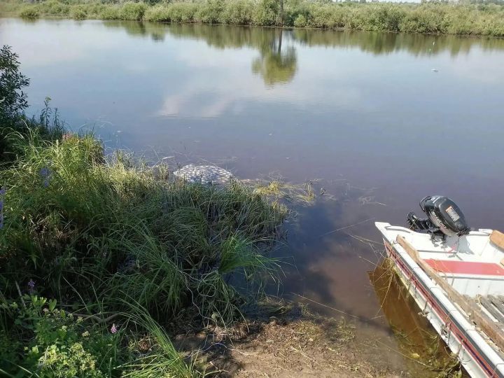 Алабуга районында су кергәндә югалган ир-атның гәүдәсен тапканнар
