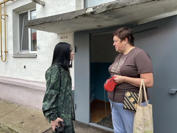 Алабугада кыз баланы эт тешләгән: хуҗалары күп, җаваплылары юк