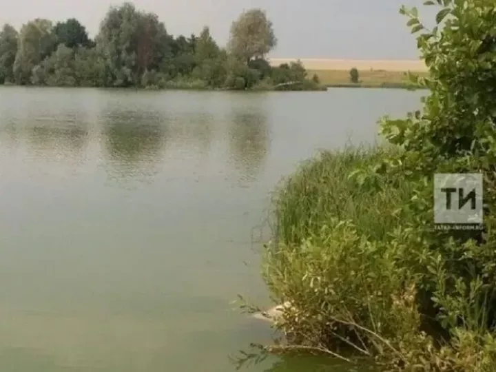 Татарстанда 38,2 км елга тәртипкә китерелә
